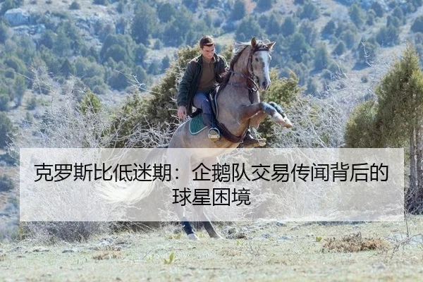 ke-luo-si-bi-di-mi-qi-qi-e-dui-jiao-yi-chuan-wen-bei-hou-de-qiu-xing-kun-jing-2-169.jpg