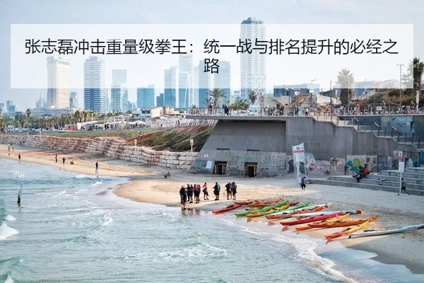张志磊冲击重量级拳王：统一战与排名提升的必经之路